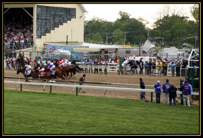 The Preakness!