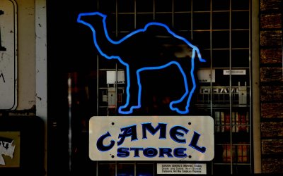 Camel Store