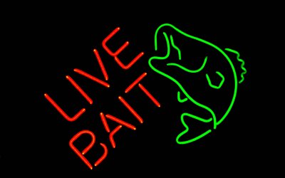 Live Bait