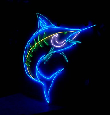 Sailfish in Neon