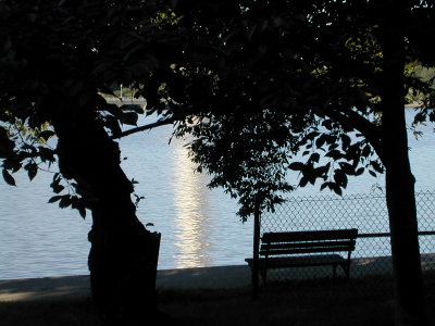 tidal basin and Washington monument 2