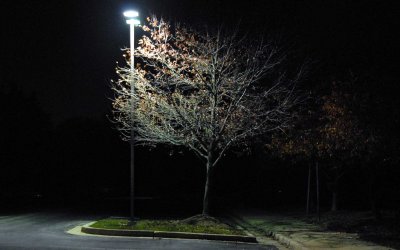 street light and autumn leaves
