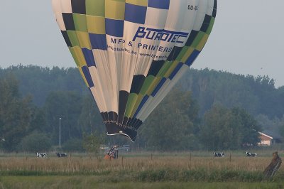 sized_IMG_2613.JPG