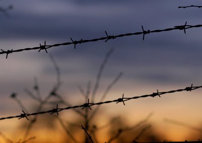 Barbed wire and morning sky