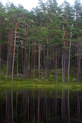 Norra Kvill National park