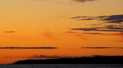 Orange skies over the dark forest