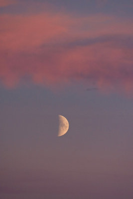 Moon in sunset