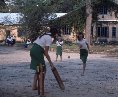 rally cricket.jpg