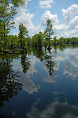 Cains Mill, near Sumter, SC