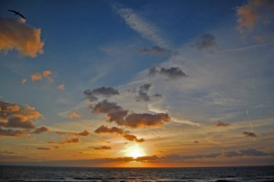 Florida Sunrise with Lone Pelican