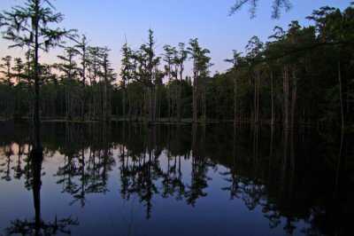 Loring Mill Pond, near Sumter, SC