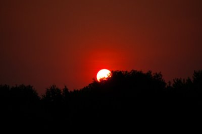 Summertime Sunset, Charlotte, NC
