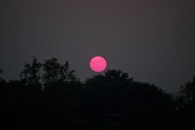 Summer Sunset, Charlotte, NC
