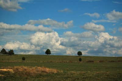 South Carolina countryside