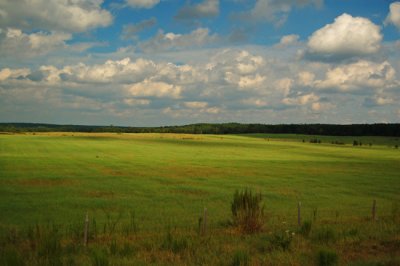 South Carolina Countryside