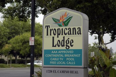 Tropicana Paradise