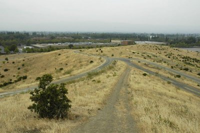 Mountain View 2