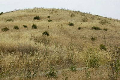 Landfill Hill