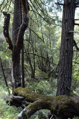 Trail 2