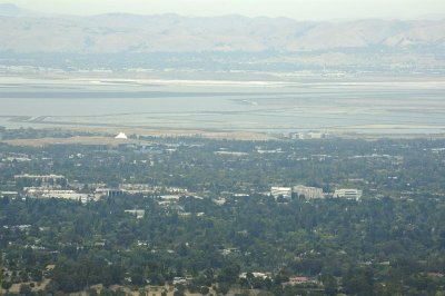Google and SF Bay