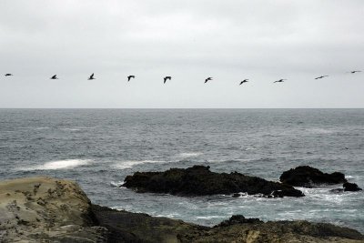 Flying Away
