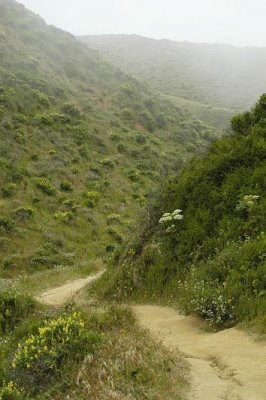 McClures Beach Trail