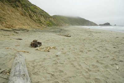 Elephant Rock