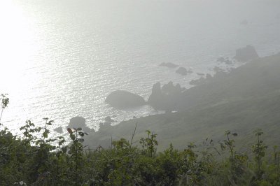 Shoreline Fog
