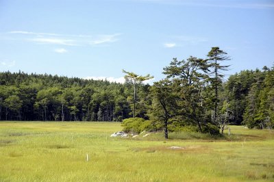 Sprague Marsh 1