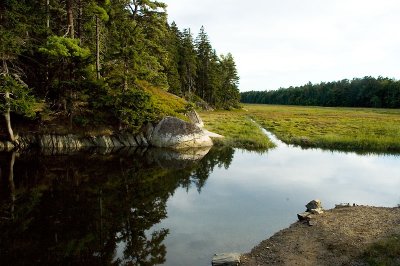 Sprague Marsh 2