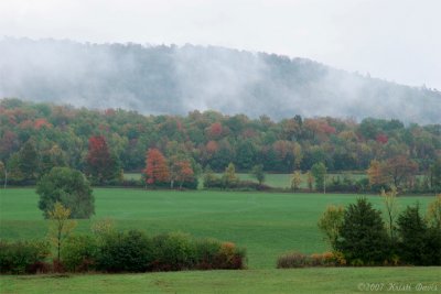 rhapsody in green