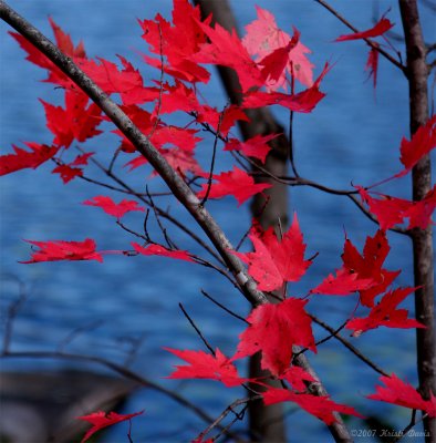 Red, meet Blue.