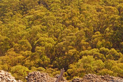 Morton National Park