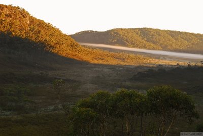 The Lost World