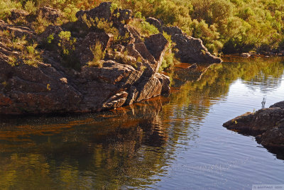 Corang River 5