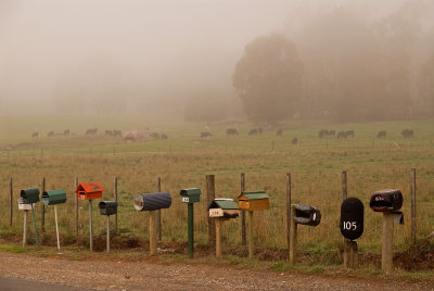 Mailboxes In Fog (Sheffield)