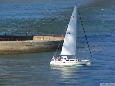 g6/89/780889/3/87476530.GS1YoPYx.jpg