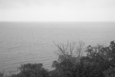_MG_0835.jpg