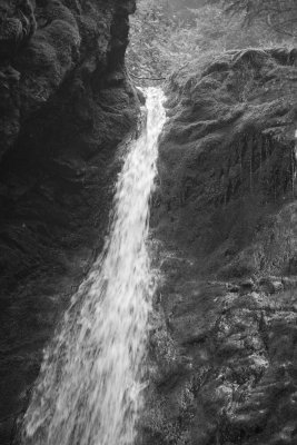 _MG_0861.jpg