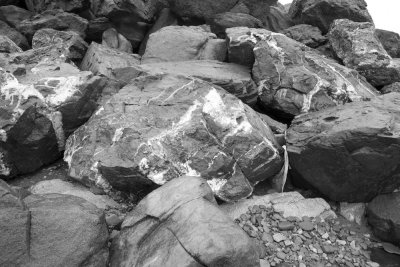 _MG_0878.jpg