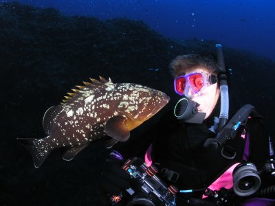Carol 202 and a friendly grouper