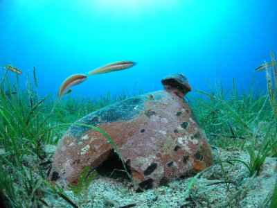 Amphora with rainbow wrasses