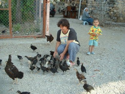 Lady with her brood of chicks