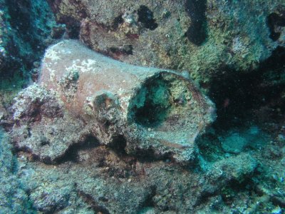 Amphora embedded in the reef