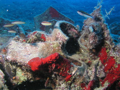 Clay pottery near the submerged reef at the west end of Dana Island.