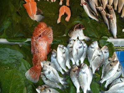 Istanbul fish market