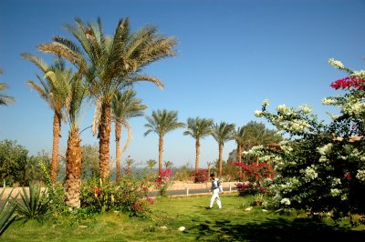 garden outside the Temples