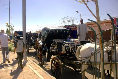 horse carts at the Edfu pier, waiting for biz