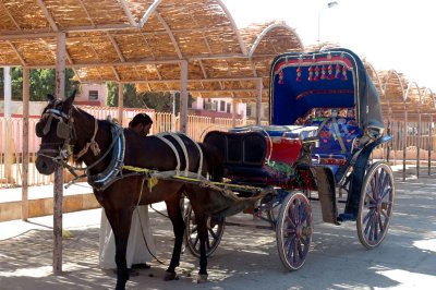 this is our car - look at the beautiful black horse and the colorful cart