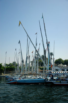 traditional feluccas and modern boats